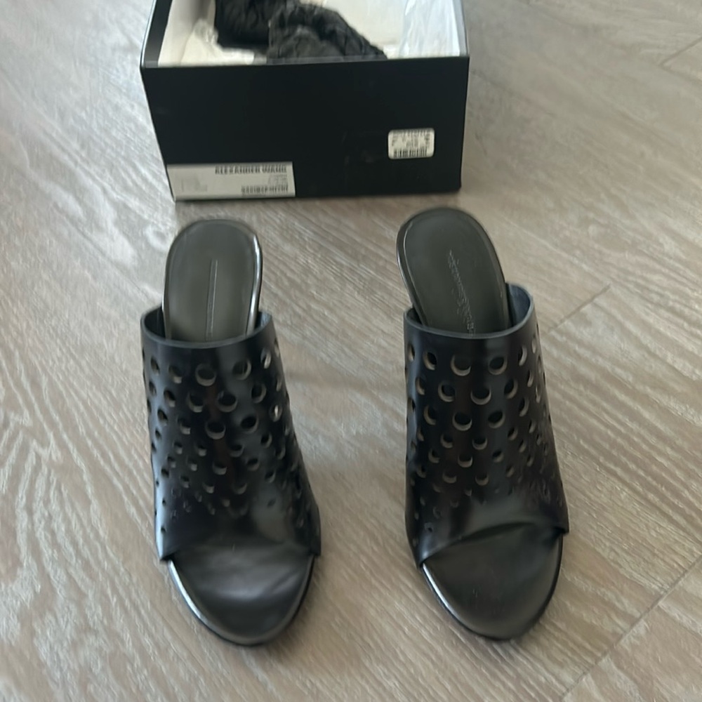 Alexander Wang size 38. Fits smaller.